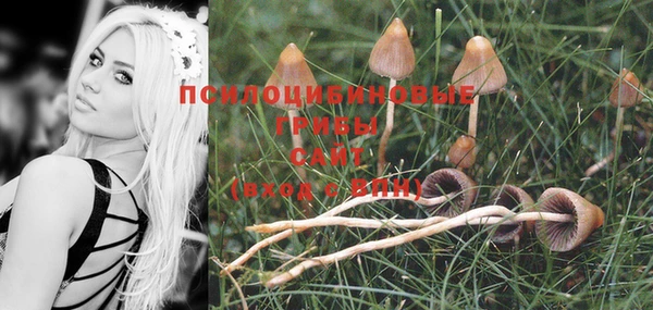 не бодяженный Алзамай