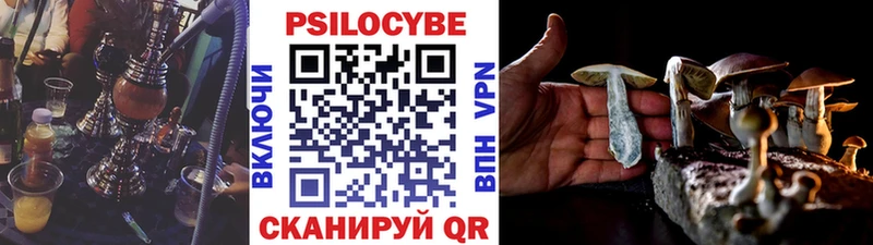 Псилоцибиновые грибы Psilocybe  наркота  kraken зеркало  Таштагол 