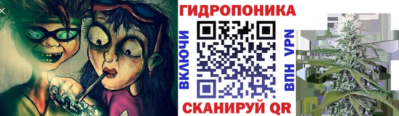 где продают наркотики  Таштагол  ОМГ ОМГ ссылка  Канабис индика 